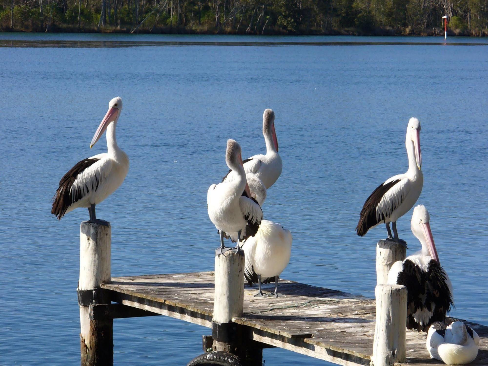 Huskisson Beach Motel Dış mekan fotoğraf
